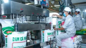 ضغوط مضاعفة تلاحق مزارعي الأرز في ظل تقلبات السوق الحالية المتقلبة